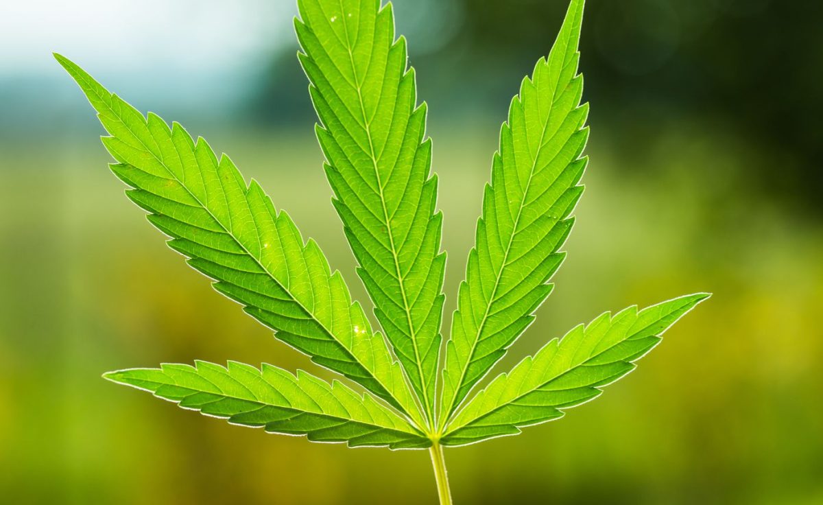 CBD Payment Gateway : The Best Way to Process Payments for CBD Businesses