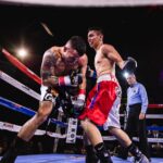 Catch the Action Live: How to Watch Free Boxing Matches on Reddit
