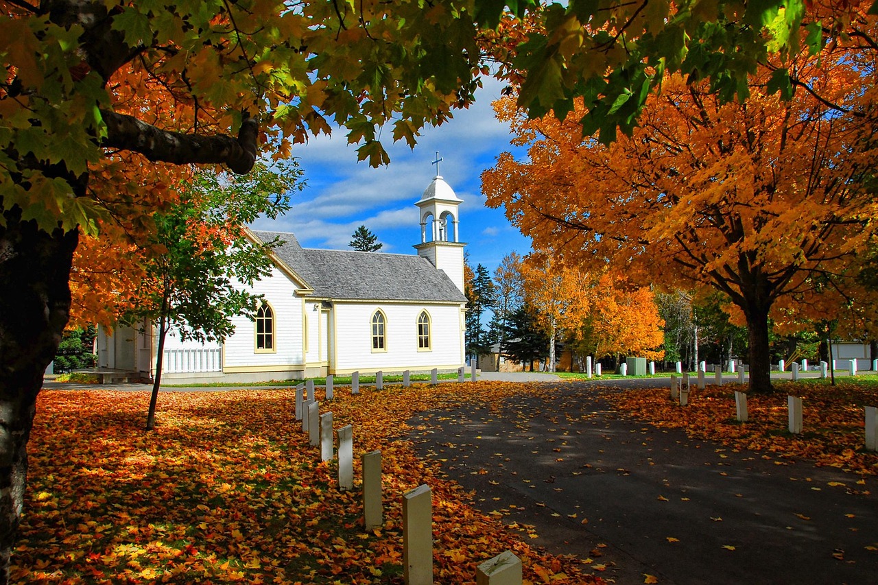 Canada, autumn, church — VIPTAKA, krikya, Baji Live, KTWIN – Which Platform Aligns With Your Betting Style?